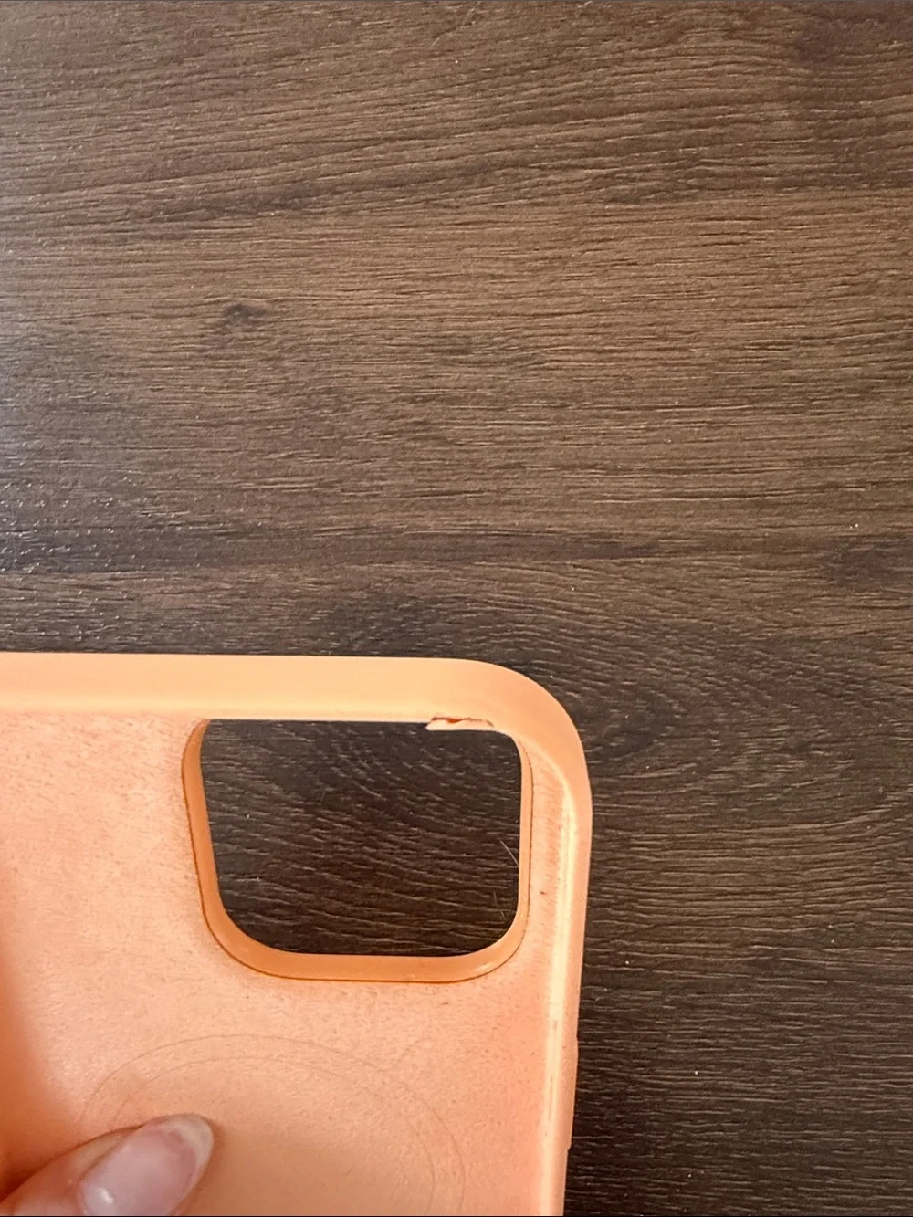 Apple Soft-Touch Silicone iPhone Case in Pale Pink